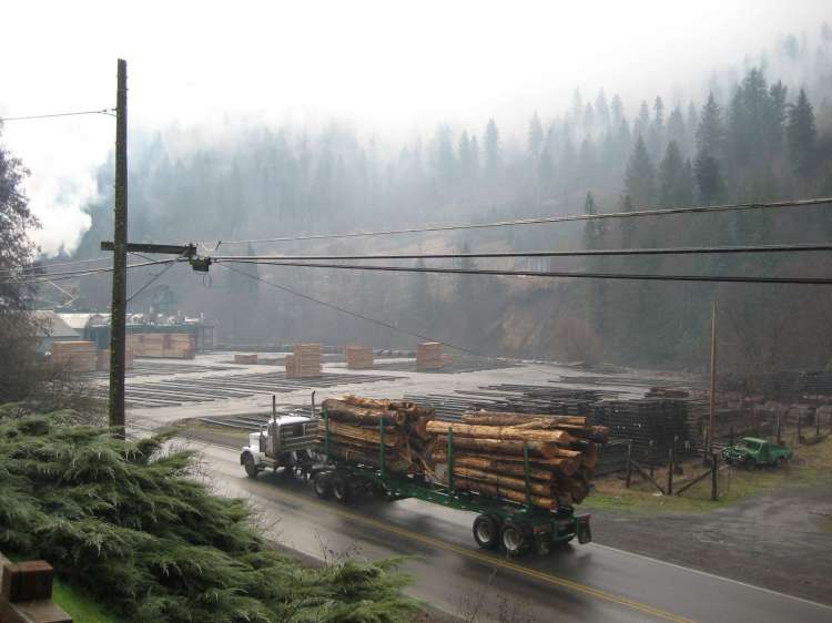 Lumber Mill & Logging Truck